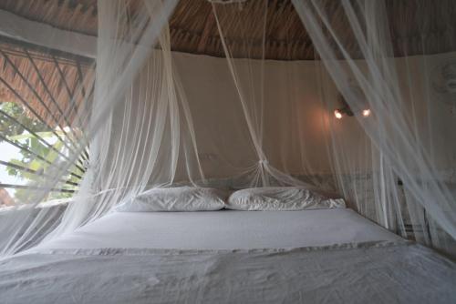 a bed with white mosquito netting in a room at Puerto Alto Hostel in Santa Marta