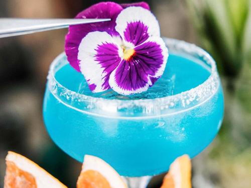 a blue drink with a purple flower in it at Mondrian Cannes in Cannes