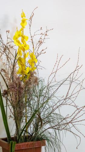 a bouquet of yellow flowers in a pot at Pousada Plenamar in Maragogi