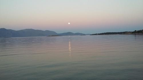 アパートメントの近くで見られる自然の景観