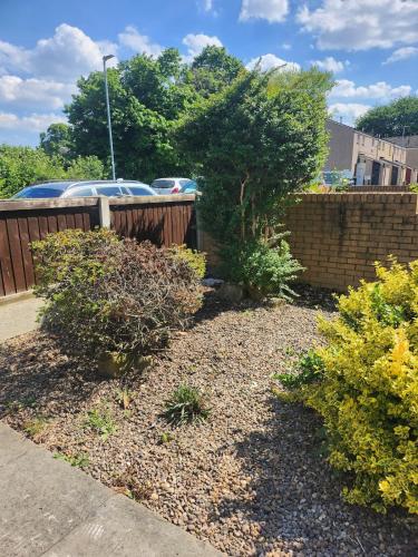 a garden with a fence and some bushes and trees at Spacious, 3 double bedroomed, free parking, 9 mins Elland Rd, nr Leeds City Centre in Leeds
