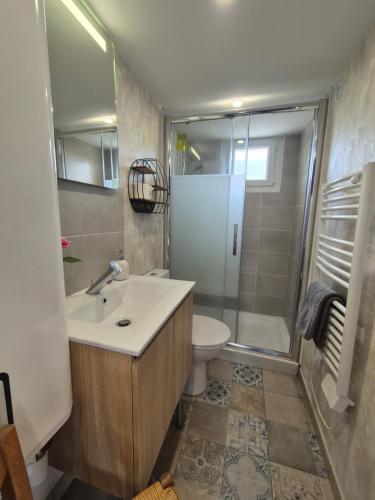 a bathroom with a sink and a shower and a toilet at Studio le moutik Room du bord de mer avec SPA et sauna parking gratuit in Lampaul-Plouarzel