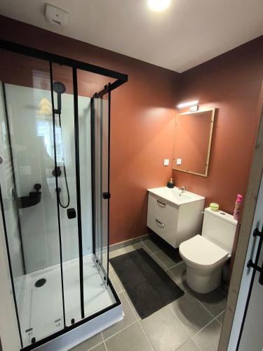 a bathroom with a shower and a toilet and a sink at Notre Dame d'Orgemont - Marron 6 in Argenteuil