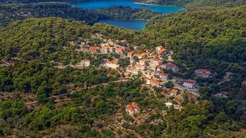 an aerial view of a village on a hill with a lake at Apartments Hana in Goveđari