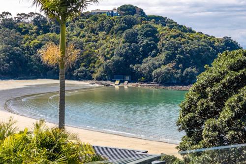 une plage avec un palmier et un plan d'eau dans l'établissement The Cottage - Oneroa's Best Viewpoint, à Waiheke Island