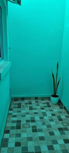 Imagen de la galería de La Perla, en Concepción