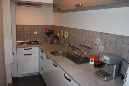 Kuchyň nebo kuchyňský kout v ubytování Apartment Borna