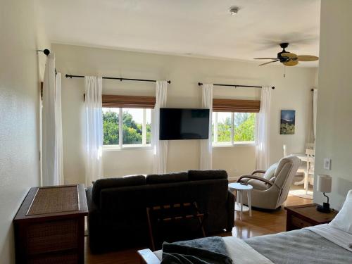 a living room with a couch and a chair and a television at Avocado House in Naalehu