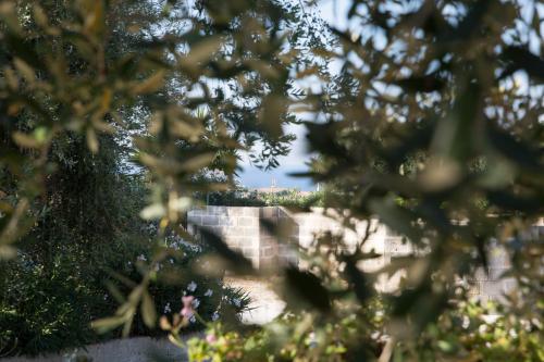a view of a building through the leaves of trees at Masseria dei Monaci in Otranto
