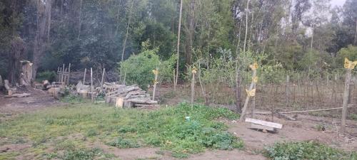 a garden with a bunch of trees and a fence at Cabaña Puipuyen Yerbas Buenas 