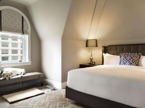 a bedroom with a bed and a dog laying on a bench at Fairmont Hotel Macdonald in Edmonton