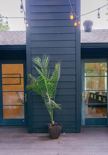a plant in a pot in front of a building at Stylish Private Home 1 mile from Downtown Franklin in Franklin