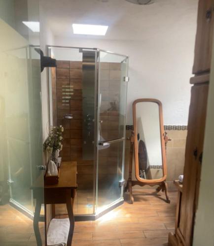 a bathroom with a shower and a mirror at Casa d'Lobo Hotel Boutique in Malinalco