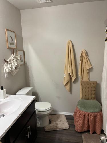 a bathroom with a toilet and a sink at Your Honey Bee! Beautiful 2k sf! in Stillwater