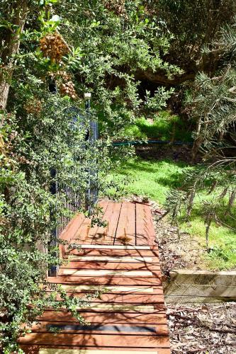 a wooden walkway in the middle of a forest at BIG4 Wilsons Prom Holiday Park in Yanakie