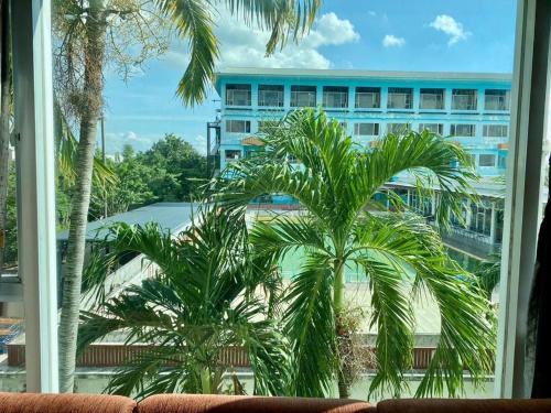 a view of a palm tree from a window at New Siya in Maha Sarakham
