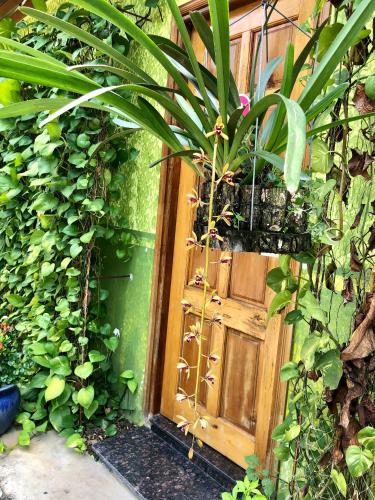 a wooden door with a bunch of plants around it at Khang Bảo Viên in Củ Chi