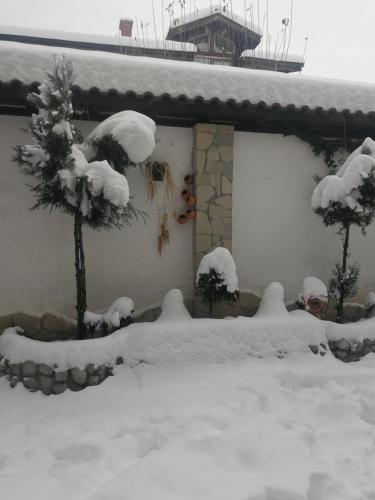 a house covered in snow with trees in the yard at Hotel St. George Pobedonosets in Bansko