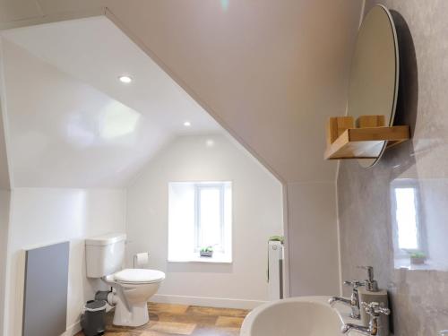 a bathroom with a toilet and a sink and a mirror at Crannoch Self Catering in Buckie