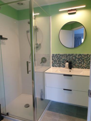 ein Badezimmer mit Dusche, Waschbecken und Spiegel in der Unterkunft Lake Oasis in Queenstown