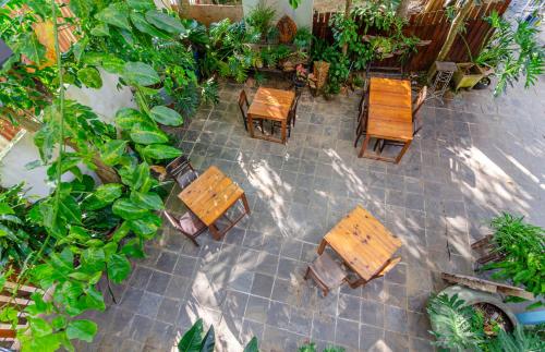 Un jardín fuera de Hotel De Condor