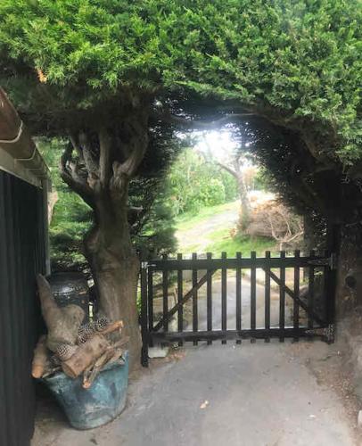 Taman di luar Lear House Oamaru