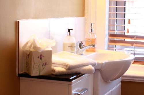 uma casa de banho com um lavatório e uma caixa num balcão em Brentwood Guest House em York