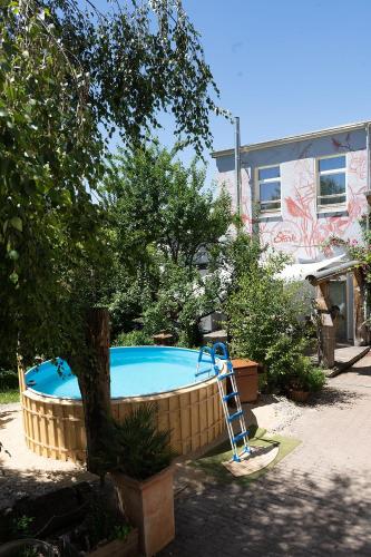 a pool with a tree and a ladder next to it at Traumhaftes GARTENLOFT in Marienberg