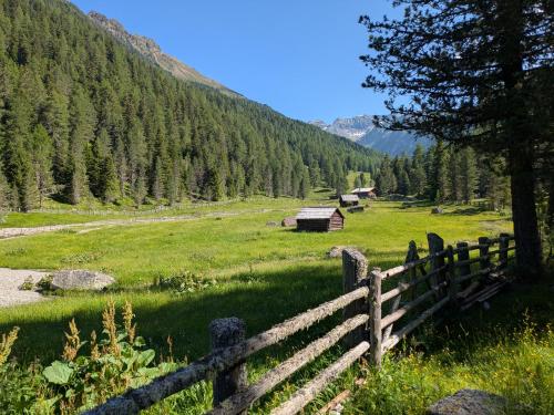 a wooden fence in a grassy field with a mountain at Residence Aichner in Brunico