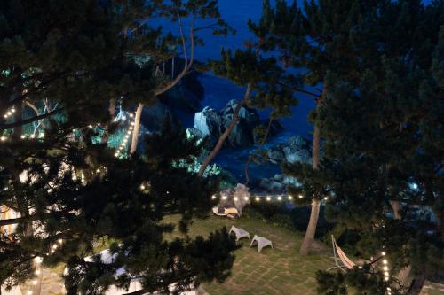 a view of a park at night with trees and lights at The Moving Caravan 