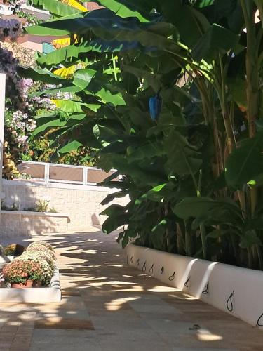 Fotografie z fotogalerie ubytování Villa Chrisanthi v destinaci Parga