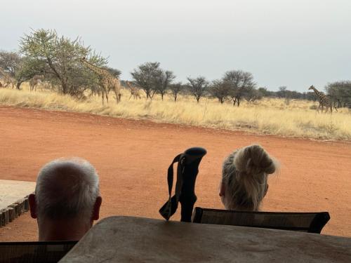 Gallery image of Big Cats Namibia Farmstay & Tours in Outjo