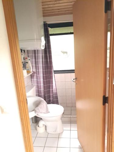 a bathroom with a toilet and a shower at Wald Chalet Nr 2 in Kellenhusen