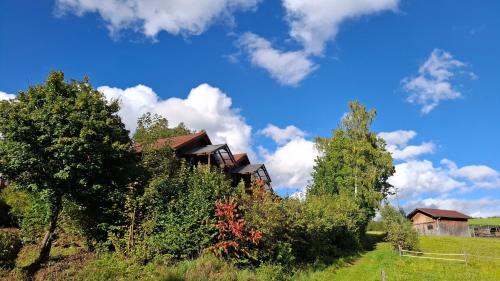 a house on a hill with trees in the foreground at Ferienwohnung Wildgatter in Grafenwiesen