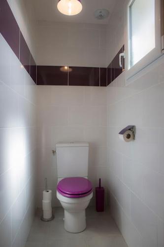 a bathroom with a toilet with a purple lid at Gîtes de l'Orée du Bois - Boussières in Boussières