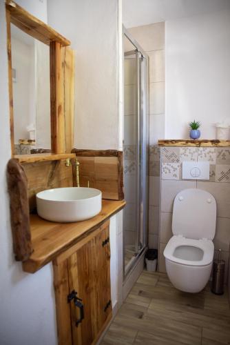 a bathroom with a white toilet and a sink at Holiday Nature House in Izvoare