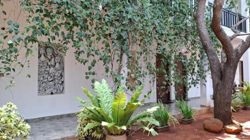 a group of plants in pots next to a building at Four Points Resort - Anuradhapura in Anuradhapura
