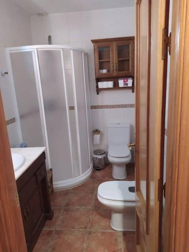 a bathroom with a shower and a toilet and a sink at Casa Rural Hoces del Duratón El Villar in Villar de Sobrepeña