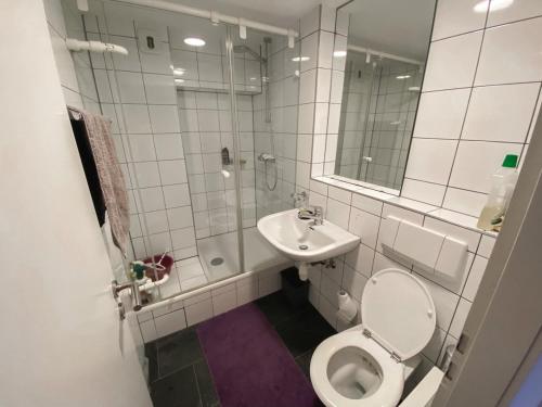 Colmar Attic Duplex في كولمار: حمام مزود بمرحاض ومغسلة ودش