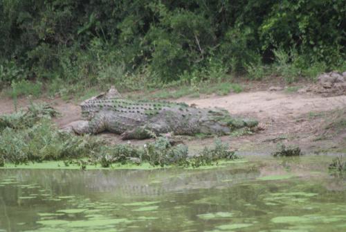 Un paisaje natural cerca de la casa de huéspedes