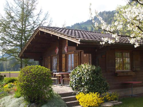 a small wooden cabin with a table in front of it at Salzano Basic Rooms Interlaken in Interlaken