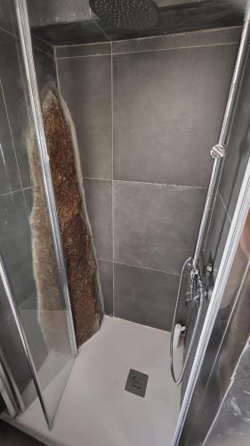 a shower with a glass door in a bathroom at Casa do Apeadeiro in Vila Pouca de Aguiar