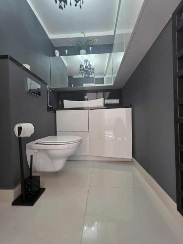 a bathroom with a toilet and a sink at Apartament Klonowa in Kraśnik