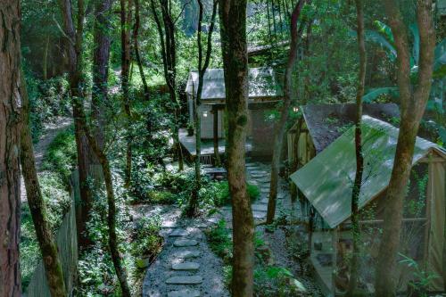 a tree house in the middle of the forest at 景德镇树园心舍民宿JDZ Forest Haven B&B in Jingdezhen
