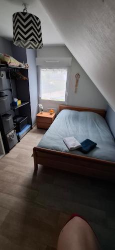 ein Schlafzimmer mit einem Bett und einem Fenster in der Unterkunft Modernité et Nature avec Piscine in Sainte-Marie-aux-Mines