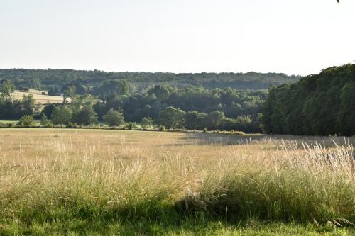 a field with tall grass and a body of water at Château de Chavigny in Chambourg-sur-Indre