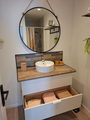 a bathroom with a sink and a mirror at Maison bella secteur calme in Rouvroy