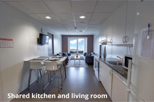 Kuchyň nebo kuchyňský kout v ubytování Ansgar Summerhotel