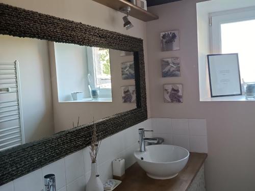 a bathroom with a sink and a mirror at Charmant gîte en Normandie avec jardin et activités à sensations - FR-1-410-300 in Arçonnay