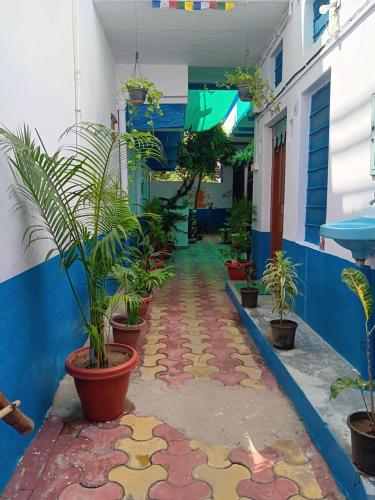 a hallway with potted plants in a building at Mayur Guest House in Pushkar
